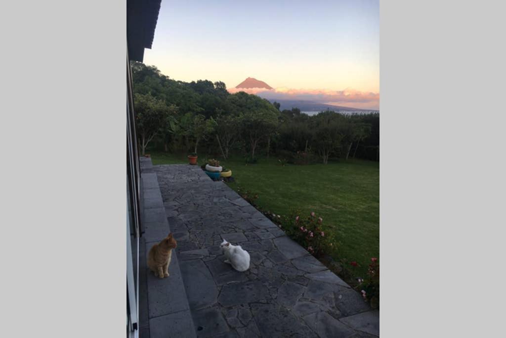 Summer House With Bbq And Garden オルタ エクステリア 写真