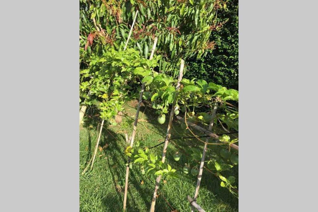 Summer House With Bbq And Garden オルタ エクステリア 写真