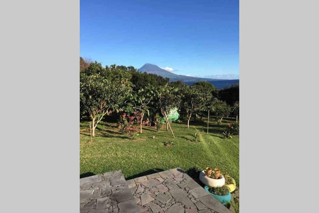 Summer House With Bbq And Garden オルタ エクステリア 写真